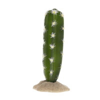 Cactus cilinder 2 groen