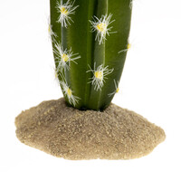 Cactus cilinder 2 groen terrariumplant 7,5 x 6,5 x 14,5 cm