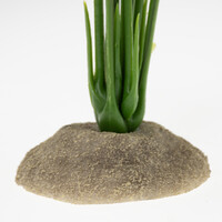 Anthurium groen terrariumplant kunstplant 12 x 10 x 30 cm