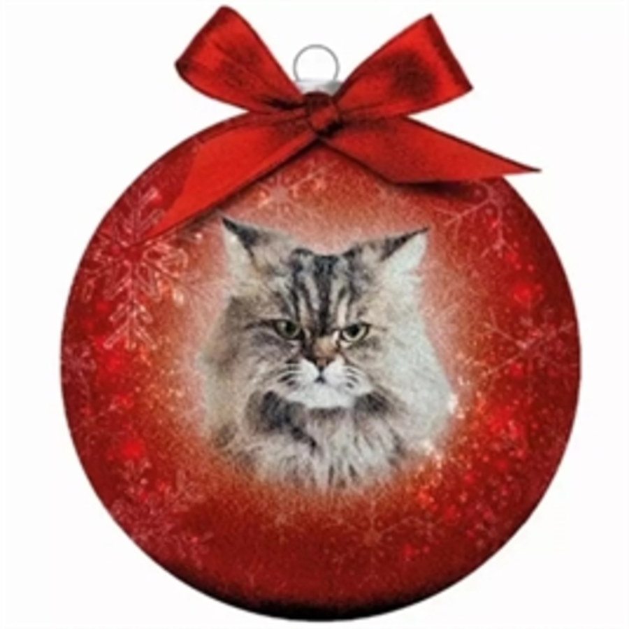 Kerstbal Frosted Noorse Kat 10CM