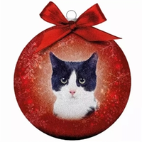 Kerstbal Frosted Kat Zw/Wit 10CM