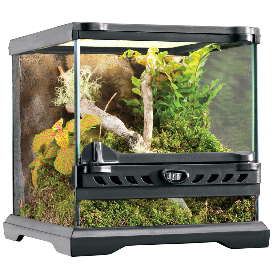Exo Terra Glasterrarium Nano Wide – 20x20x20 cm | Compact terrarium met ventilatie en achterwand