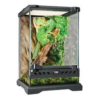 Glasterrarium Natural Terrarium Nano Tall 20 × 20 × 30 cm voor reptielen en amfibieën