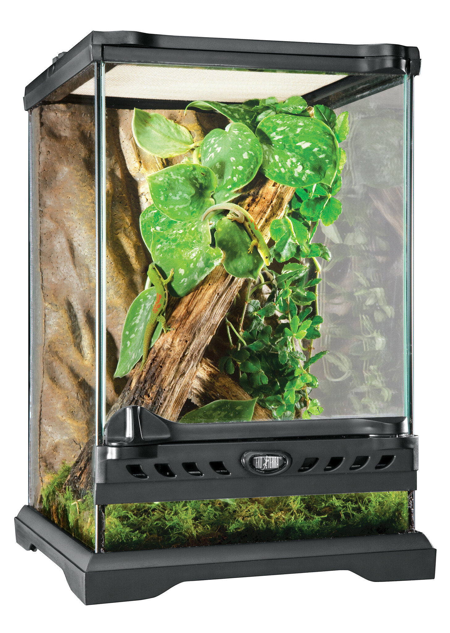 Exo Terra Glasterrarium Nano Tall 20×20×30 cm voor reptielen