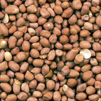 Gepelde pinda's 25KG