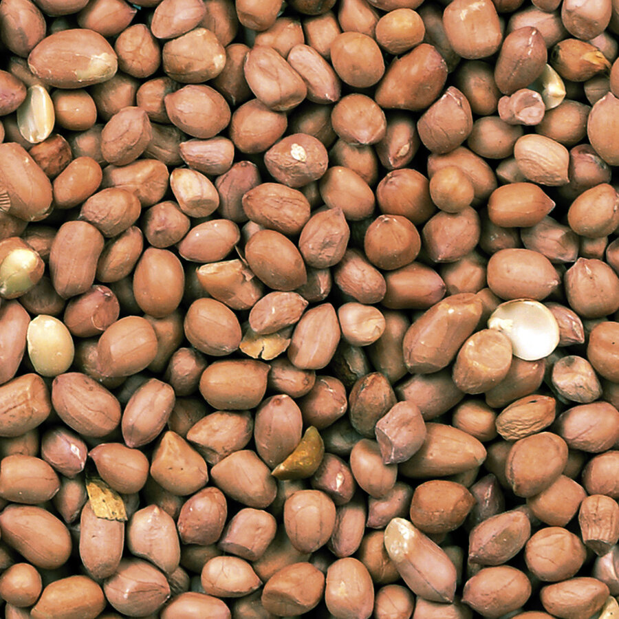 Gepelde pinda's 25KG