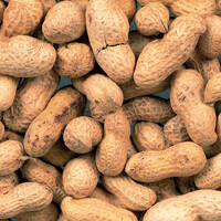 Arachidenoten / Pinda's Ongepeld P50 10KG