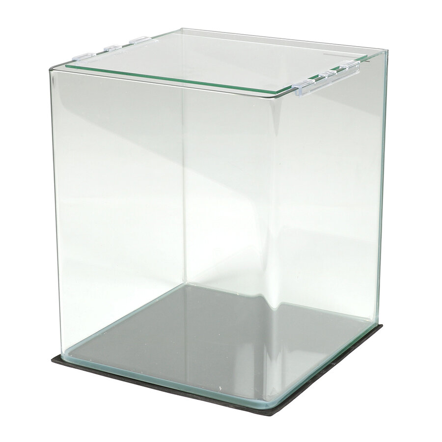 Kubusvormig aquarium 10L met dekglas 20 x 20 x 25 cm