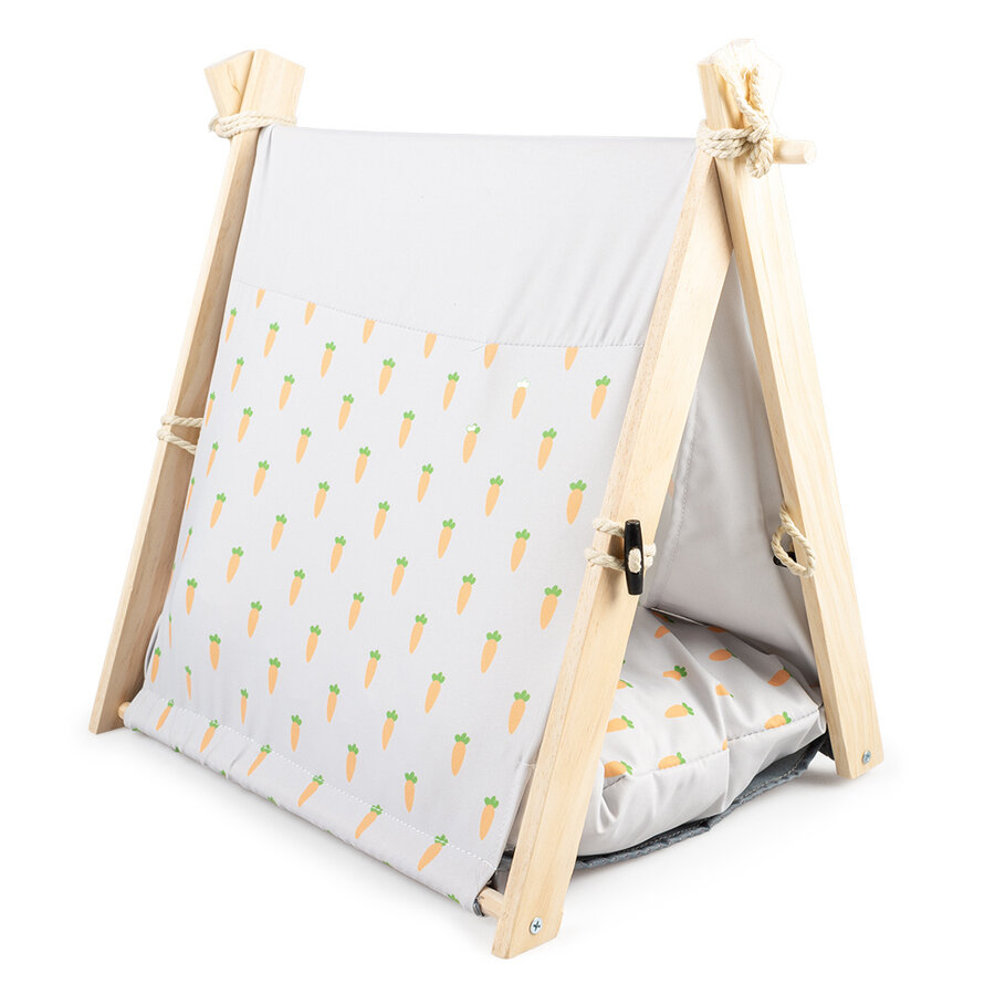 Carrot tipi voor konijnen en knaagdieren