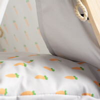 Carrot tipi voor konijnen en knaagdieren