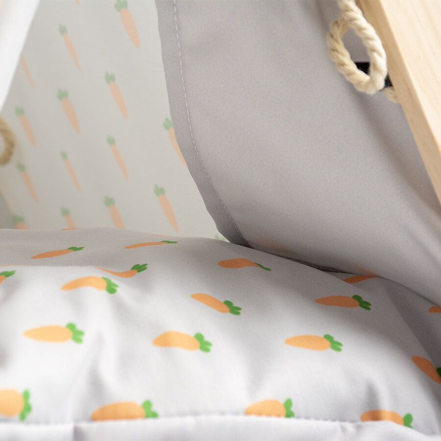 Carrot tipi voor konijnen en knaagdieren