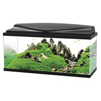 80 LED CF80 | 74L | 80 x 30 x 41,5CM Zwart Aquarium