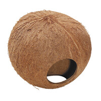 Coconut Globehouse 130MM