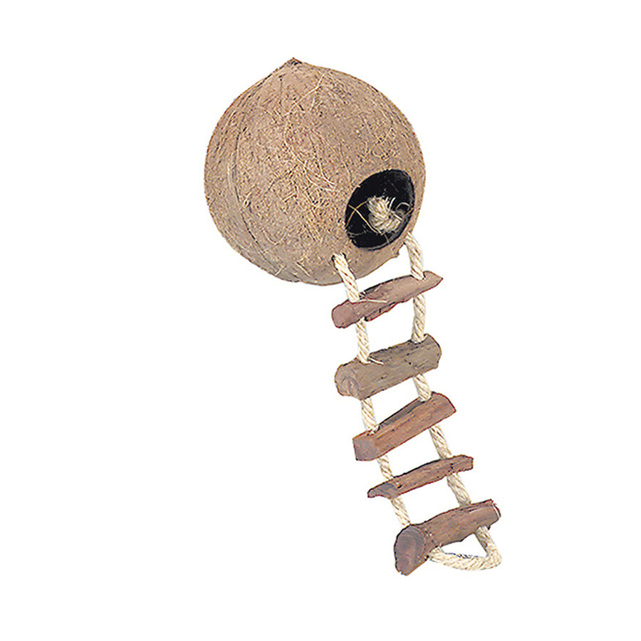 Coconut Jungle huis met ladder voor kleine knaagdieren