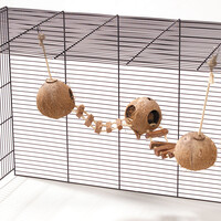 Coconut Globehouse Met Dubbele Touwbrug