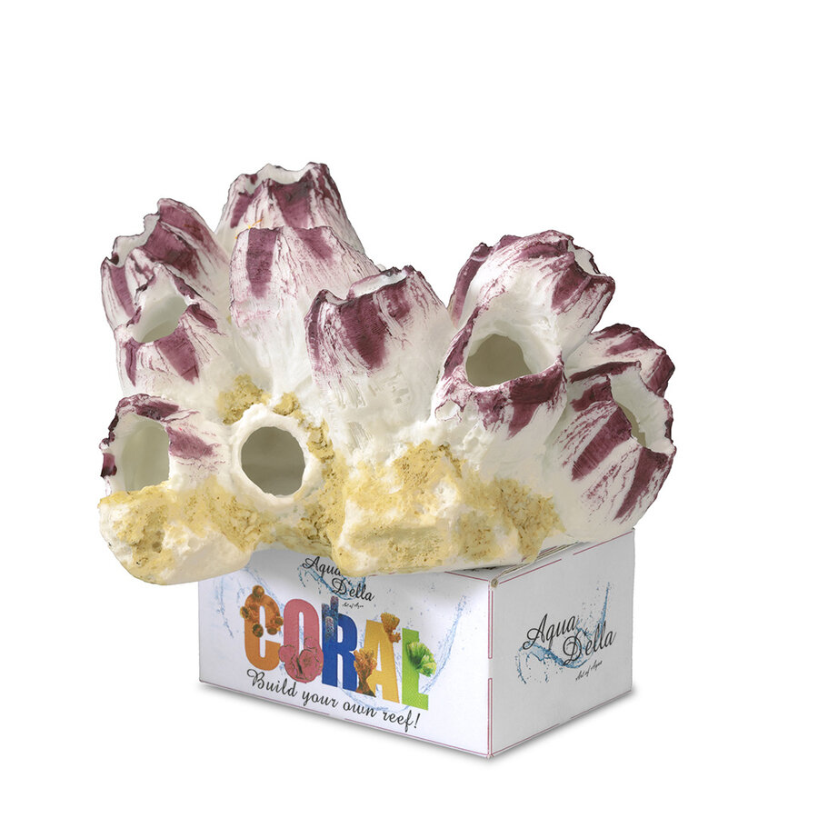 Coral Module Barnacles L - Paars/Wit