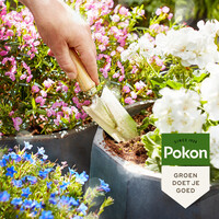 Terras & Balkon Planten Potgrond met 180 dagen voeding