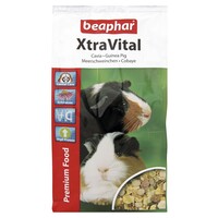 XtraVital Cavia