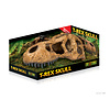 EX T-Rex Skull Fossiele Schuilplaats