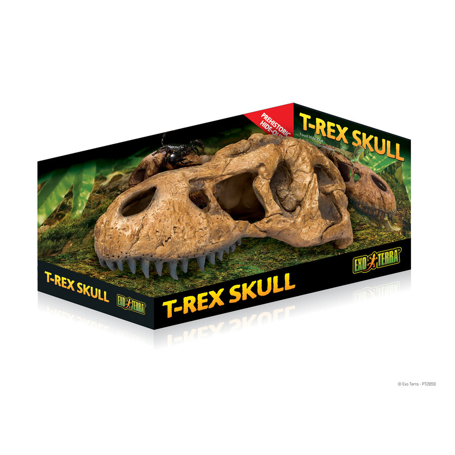 EX T-Rex Skull Fossiele Schuilplaats
