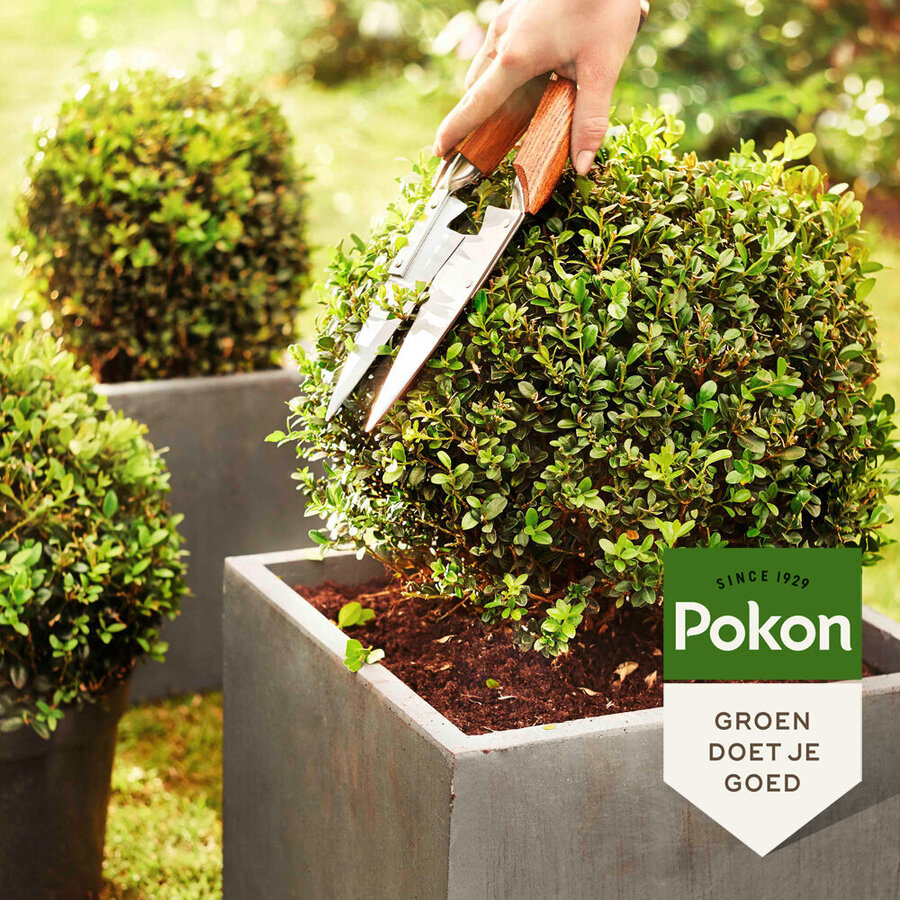 Biologische buxus potgrond met 100 dagen voeding