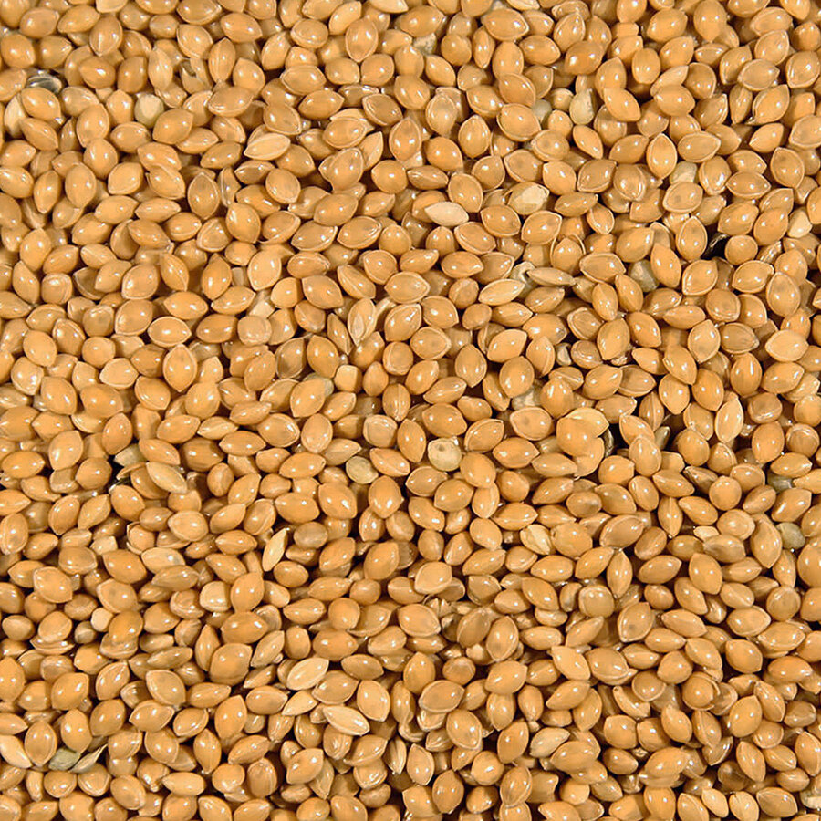 Millet Geel / Rondzaad Geel 20KG