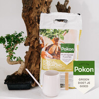 RHP Bonsai Potgrond 5L