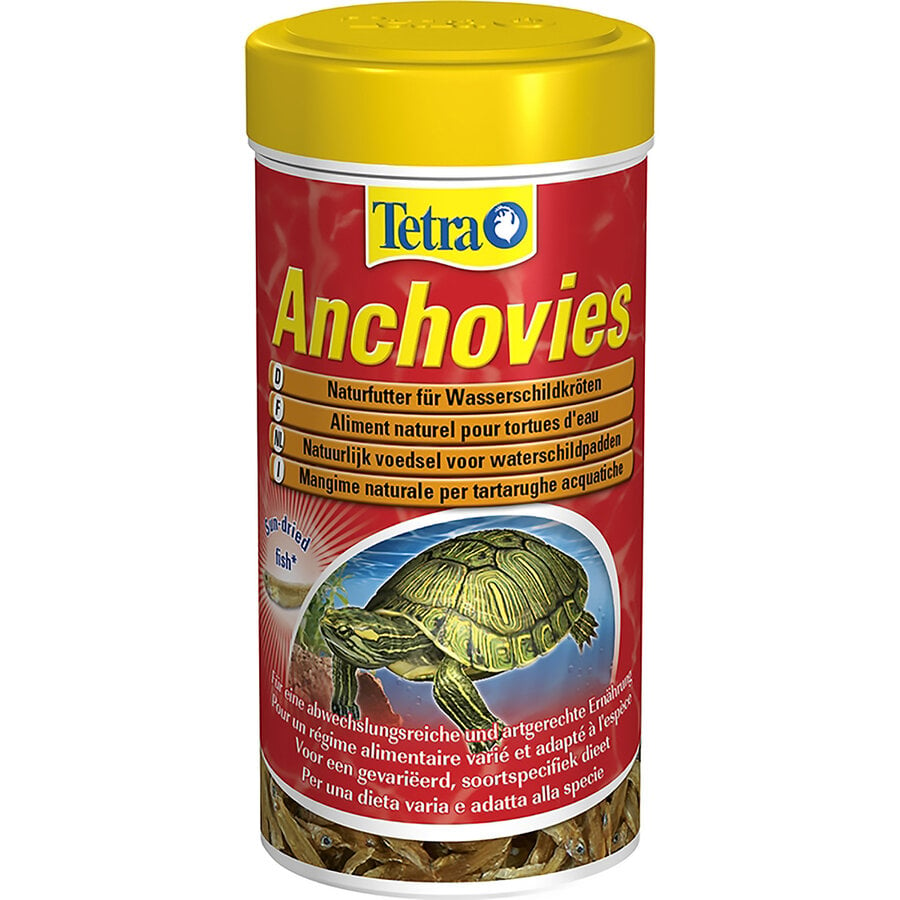 Anchovies