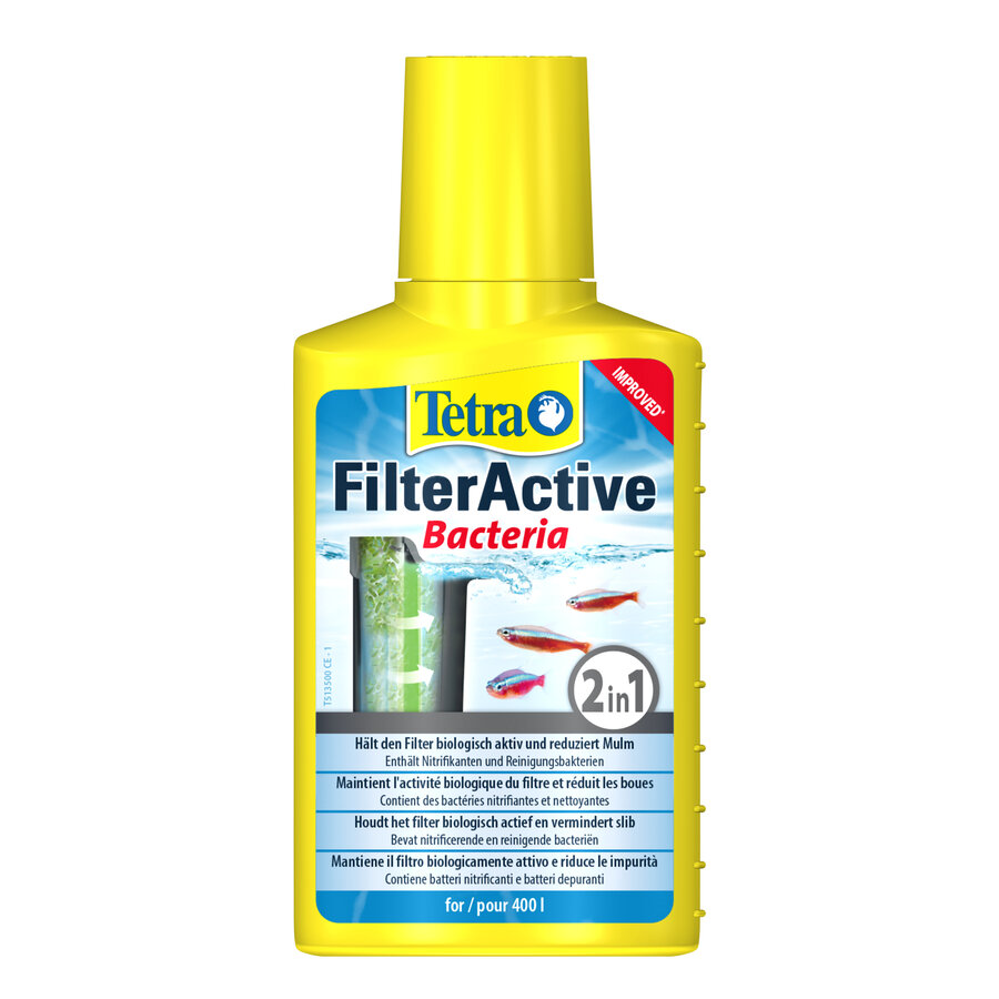 Filteractive