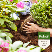 Biologische aanplantgrond voor zuurminnende planten