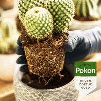 Cactus potgrond RHP 5 liter voor cactussen en vetplanten