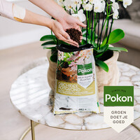 RHP Orchidee Potgrond 5L