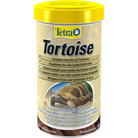 Tortoise