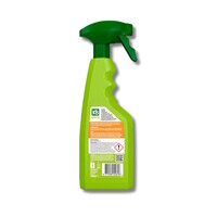 Vlekken Reiniger Spray 500ML