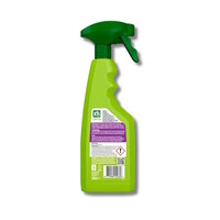 RVS Reiniger Spray 500ml