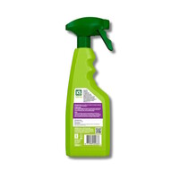 Kookplaat Reiniger Spray 500ml