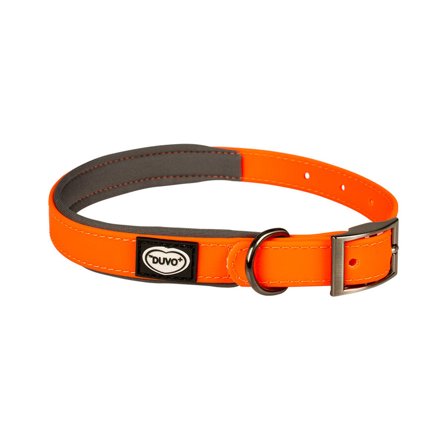 EXPLOR South hondenhalsband PVC neon oranje | M 30-45cm 15mm | L 35-55cm 20mm | XL 40-65cm 25mm