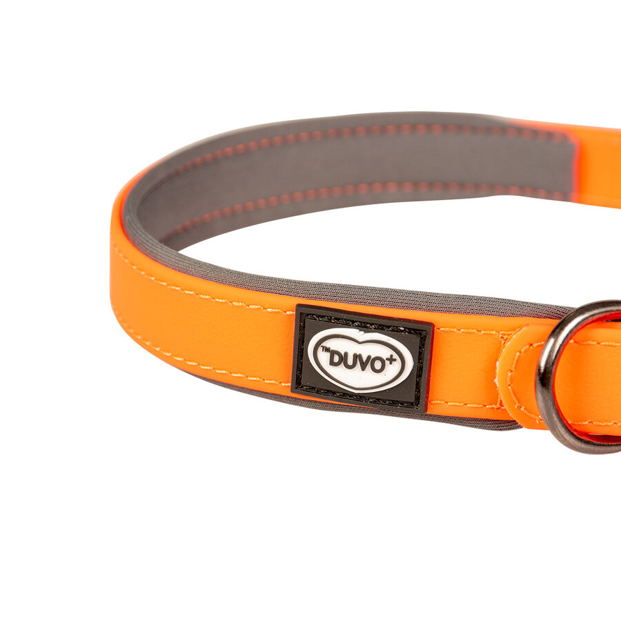 EXPLOR South hondenhalsband PVC neon oranje | M 30-45cm 15mm | L 35-55cm 20mm | XL 40-65cm 25mm