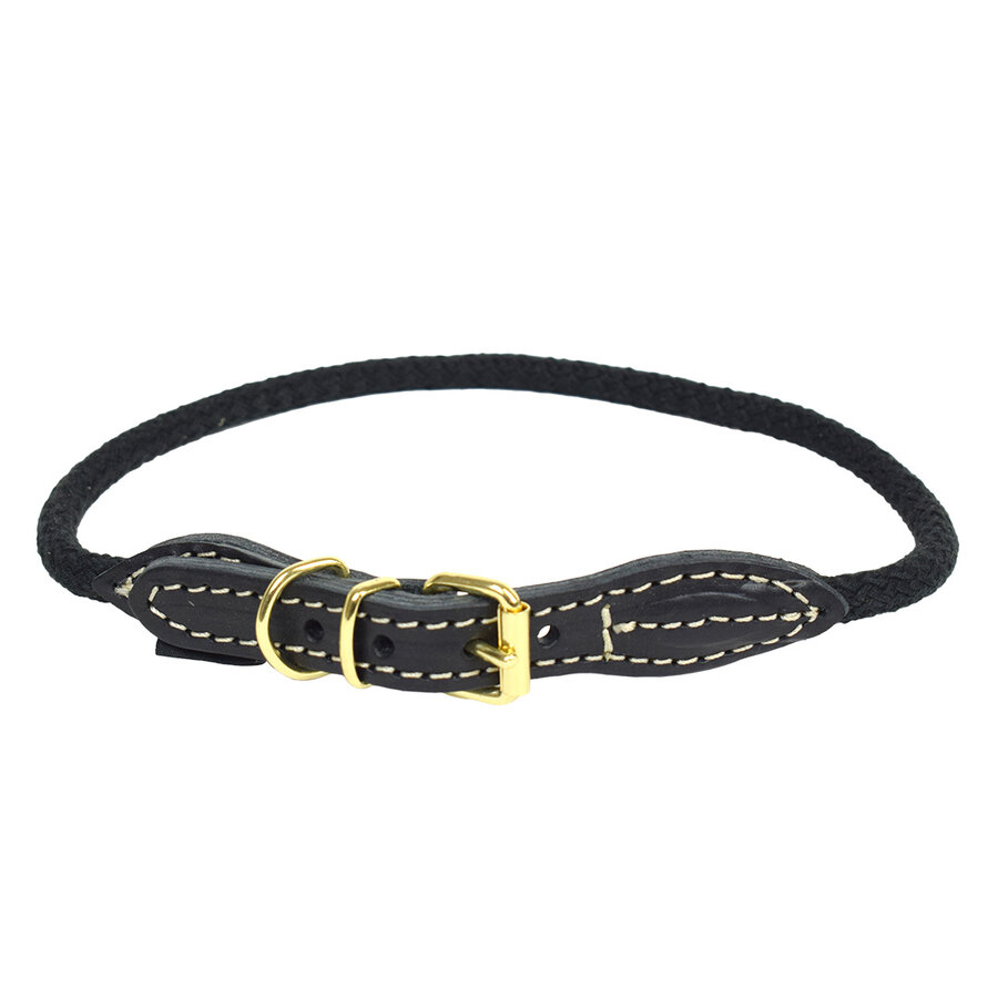 EXPLOR Forest Halsband Nylon Zwart