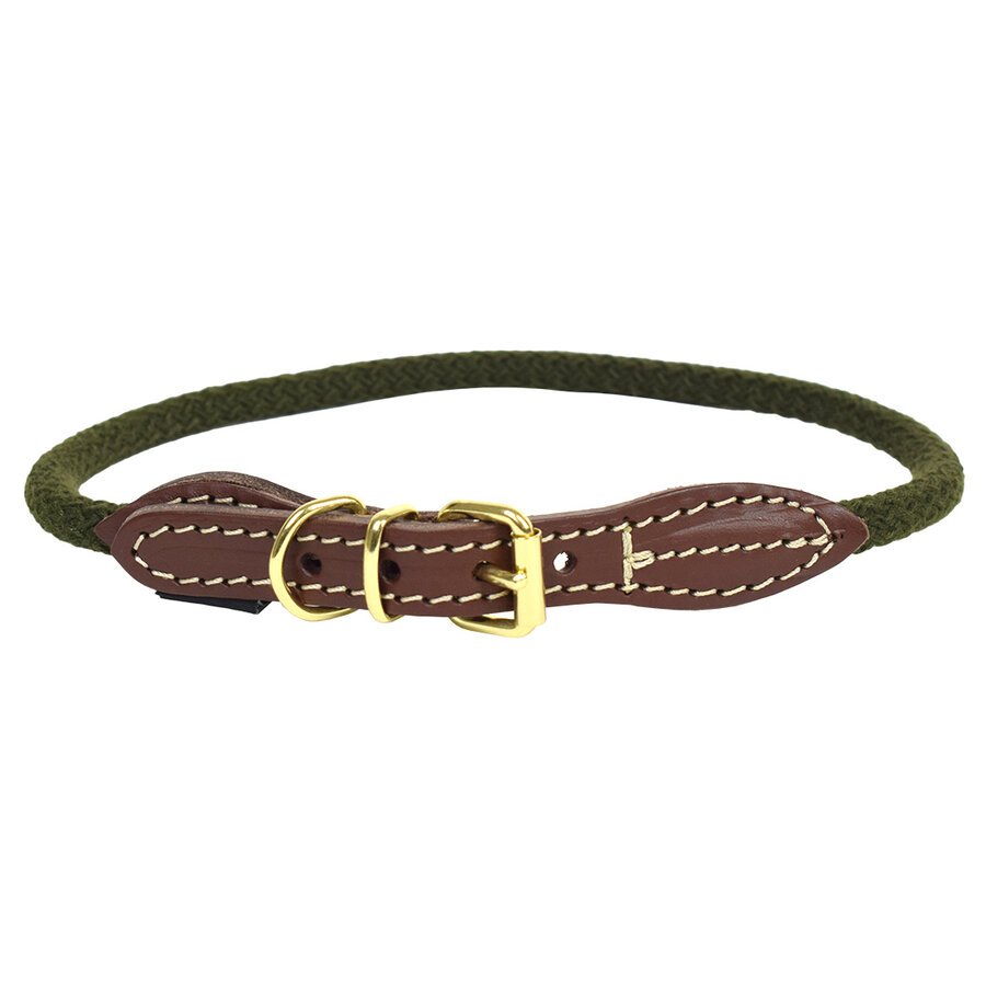 EXPLOR Forest Halsband Nylon Groen