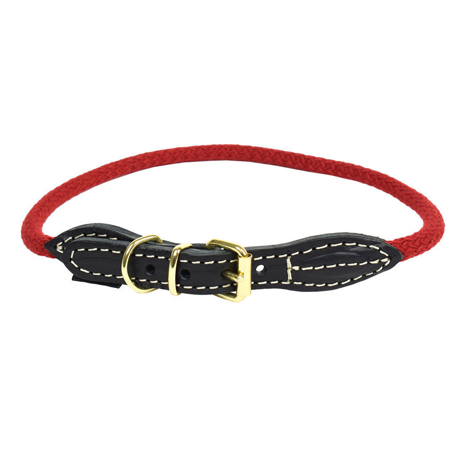 EXPLOR Forest Halsband Nylon Rood