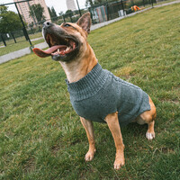 Hondensweater Cozy Grijs