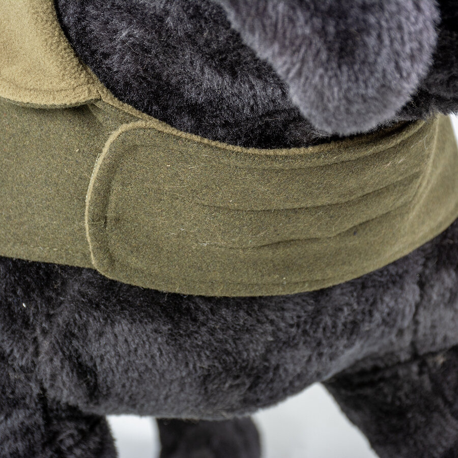 Hondenjas Blazer Groen