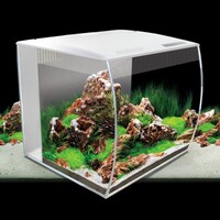 Flex | 57L | 41 x 39 x 39CM Wit Aquarium