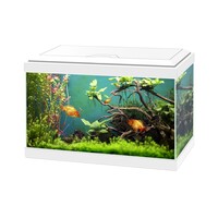 Aqua 20 Classic | 17L | 40 x 20 x 26CM Wit Aquarium