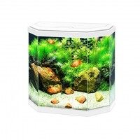 Aqua 30 LED | 25L | 40 x 20 x 45,5CM Wit Aquarium