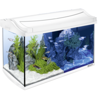 Aqua-Art Led | 60L | 61,5 x 34 x 43 CM Wit Aquarium