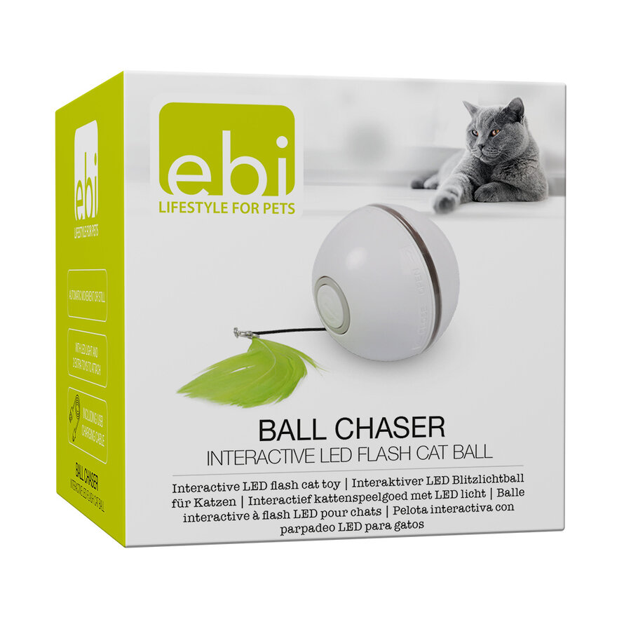 Ball chaser