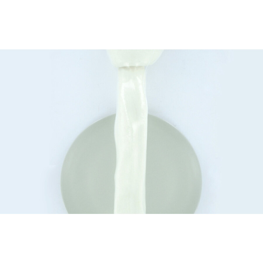 XXL Wit honden knoopbot 62 cm