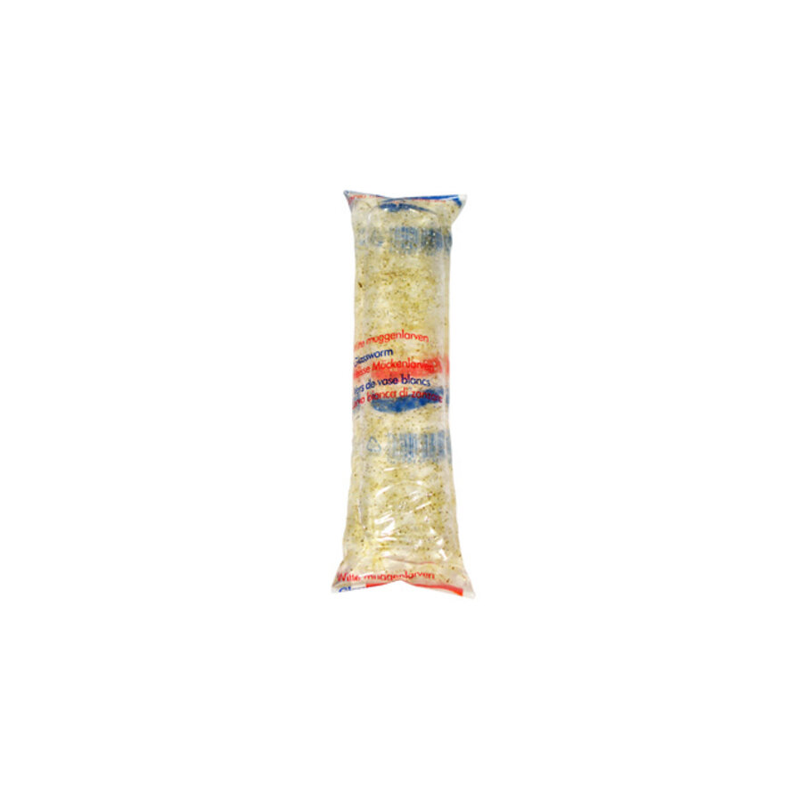 Witte muggenlarven levend 100ML
